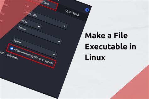 How to Make a File Executable in Linux (2024 Guide) .